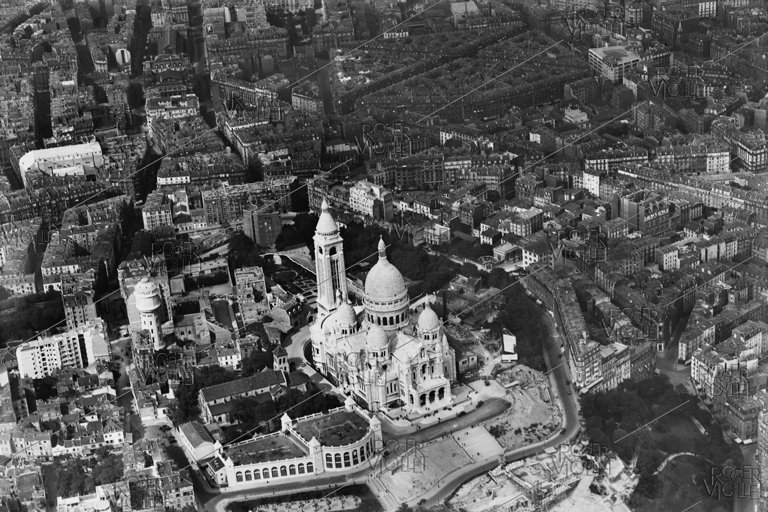 Nouvelle galerie dédiée à la photographie animalière ouvre à Montmartre